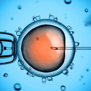 Нов репродуктивен метод подмладява старите яйцеклетки