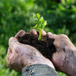 Как да живееш в здраве и радост – правилата на един 104-годишен мъдрец