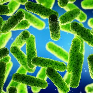 Месоядна бактерия изяде 25 процента от кожата на човек