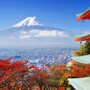 Водата дълбае камъка не със сила, а с постоянство: 25 японски поговорки