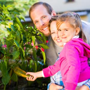 Умна градина превръща всеки в градинар