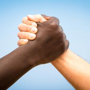 Международен ден за борба срещу расизма, ксенофобията и антисемитизма 