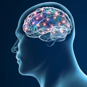 Изследователи са локализирали “превключвателя” в мозъка, който е отговорен за проблемите със социализирането при аутистите