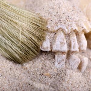 Денисованците – непознатите прадеди 