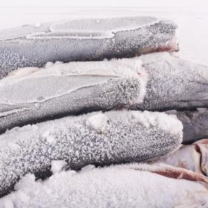 Видео: Жива риба се съживява след като е замразена при -36 градуса Целзий