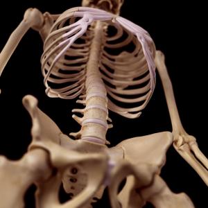 Перспективи пред лечението на гръбначния стълб