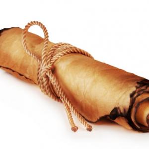 Откриха кой е написал свитъците от Мъртво море?