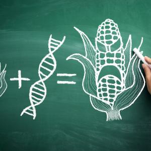 Видео разкрива плюсовете и минусите на ГМО