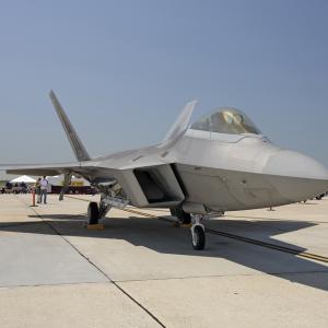 Свръхмодерен американски изтребител F-22 Raptor е “приземен” от рояк пчели