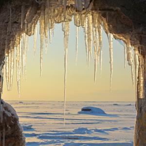 Палеонтолозите разбраха кога са се появили първите животни на Земята