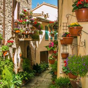 20 красиви улици, които приличат на сбъдната мечта