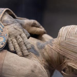Разкриха резултатите от ДНK експертизата на египетски мумии