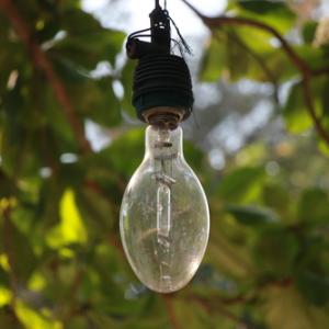 Лампата, която се захранва с елементи от почвата около нас