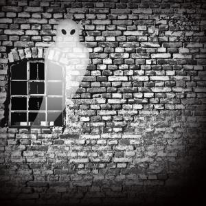 Съдебен заседател освободен след посещение от призрак на жертвата