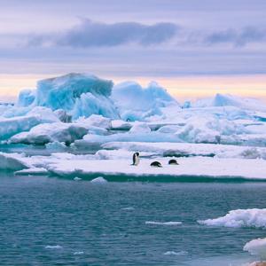 Океанът прерязва ключов антарктически шелф