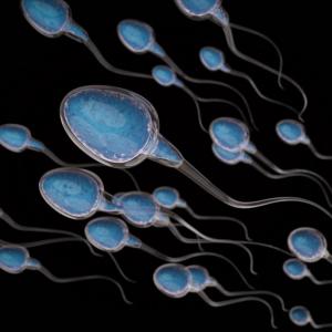 Отрова от стрели е бъдещето на мъжкия контрацептив