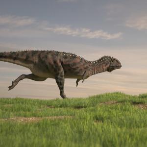 Маджунгазавърът е сменял зъбите си на 2 месеца