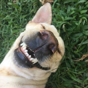 Ето как биха звучали добре познатите ни поговорки в съвременен вариант