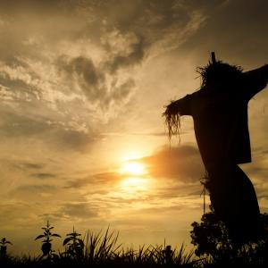 Видео: Как оживява една кукла?