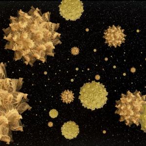 Бактерии развиват резистентност към медикаменти в космоса