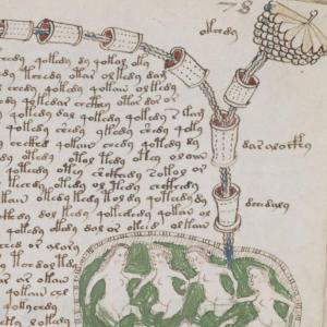 Декодират мистериозния ръкопис на Войнич