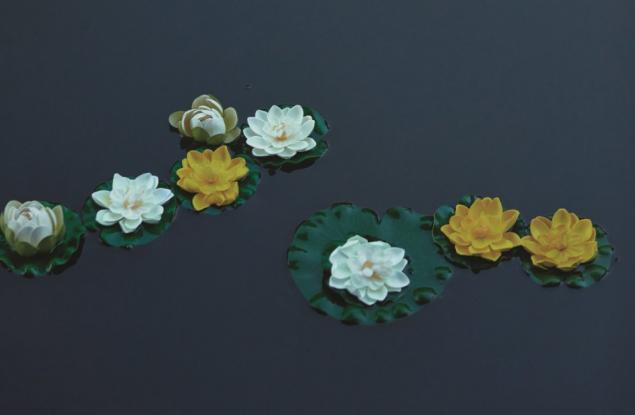 Рециклирайте, помогнете да опазим Земята – нашия единствен дом