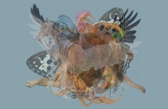 Първото животно, което видите, разкрива скрит аспект на личността ви