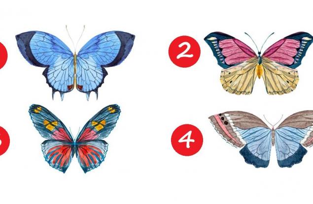 Изберете пеперуда и разберете кои са вашите най-силни качества