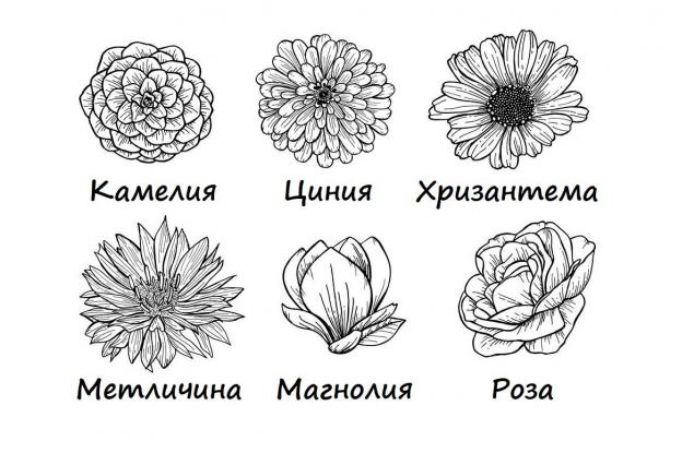 Изберете цвете и открийте какво ви тревожи в момента