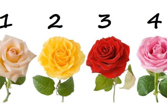 Изберете роза и вижте за какво мечтаете в любовта