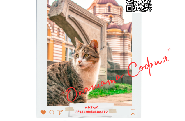 Фотоконкурсът „В крачка“ с първи победител и второ месечно предизвикателство 