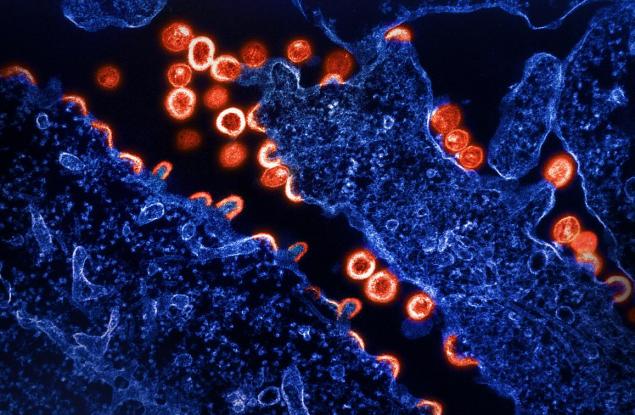 Откриха генетичен вариант, който, изглежда, ограничава заразяването с ХИВ