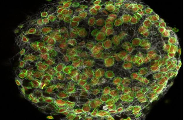 Проучване открива протеин в кръвта, за който се смята, че е свързан с депресията