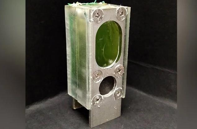 Учени успяха да захранят микропроцесор само с водорасли в продължение на над 6 месеца