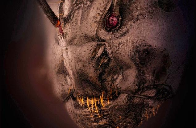 Тази невероятна снимка на лицето на мравка е досущ като нещо, излязло от най-дълбоките ви кошмари