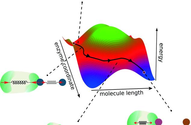 Универсални правила за създаване на ензими: Път към оптимален дизайн от нулата