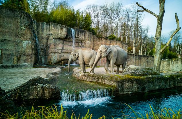 Спасителен център за природата и климата: зоопарковете не са това, което бяха