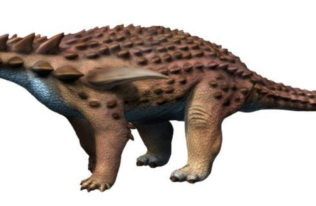 Брониран динозавър е бил в състояние да издържи на високоскоростен удар от двутонен пикап