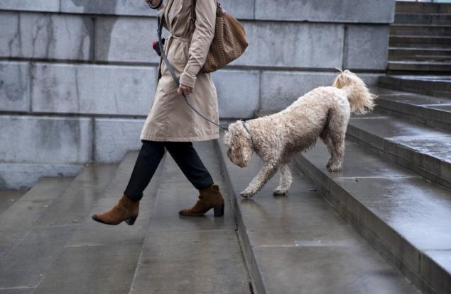 Остеоартрит - коя е най-подходящата диета?