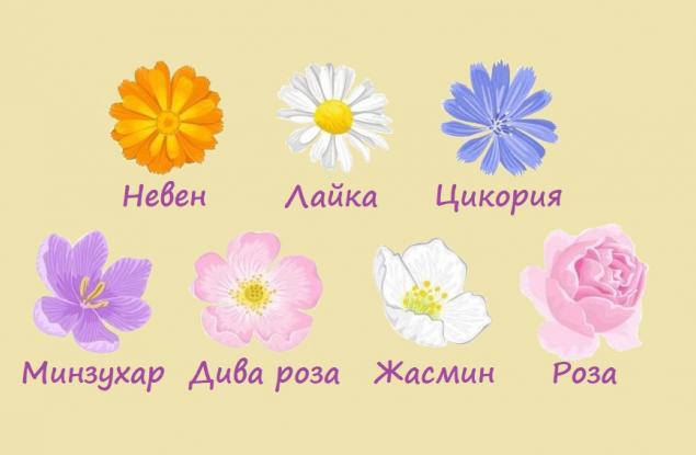 Цветето, което изберете, ще ви покаже какво е важно да направите за себе си