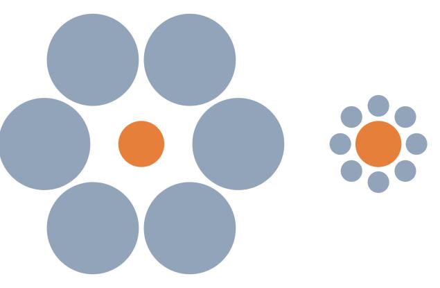 Заблуждават ли се животните от оптичните илюзии? Какво могат да ни научат рибите и птиците за възприятието