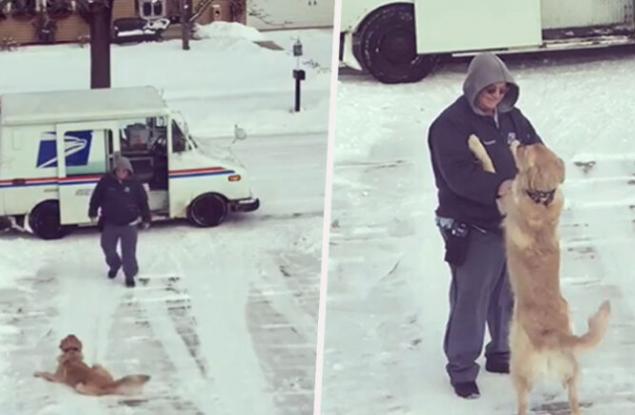 Това куче чака всеки ден на двора, за да получи прегръдка от пощальона