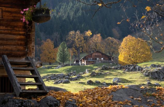 31 приказни снимки на есенна Швейцария