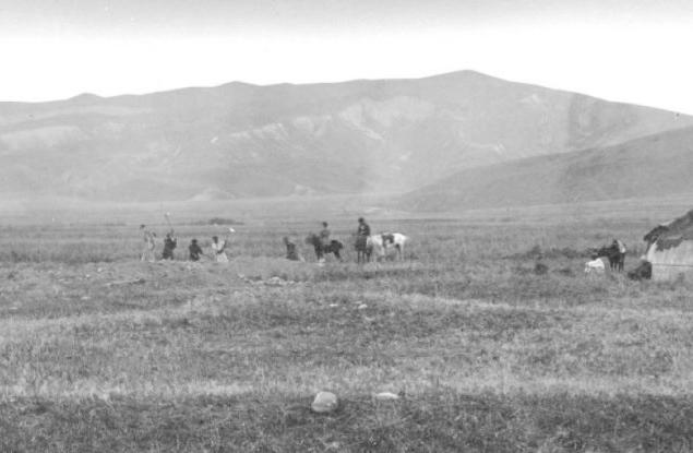 Черната смърт вероятно е възникнала на едно доста неочаквано място