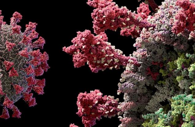 Ново 3D видео показва SARS-CoV-2 в „забележителни детайли“