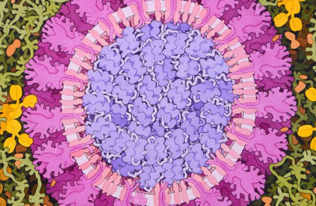 Мутация на коронавируса спомогна за разпространението на заболяването, но направи вируса уязвим за ваксини