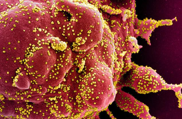 Британският вариант на COVID-19 мутира… отново