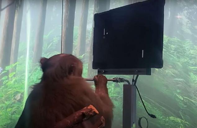 Вижте как маймуна играе на видео игри със съзнанието си чрез Neuralink на Илон Мъск