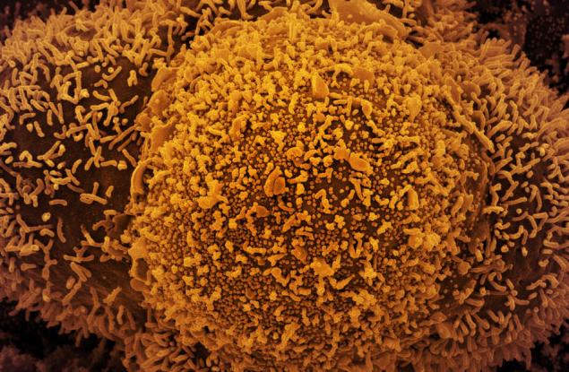 Вариантът Делта предизвиква различни симптоми от „класическия“ COVID-19