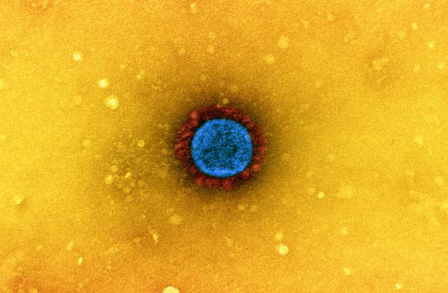 Пълното заличаване на COVID-19 е възможно, твърди ново изследване